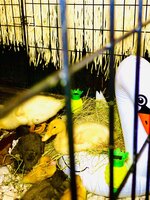 8448B8BA-C4D1-4122-9606-988E736A610D.jpeg
