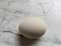 Two-tone egg.jpg
