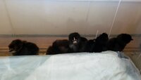 20200505_085404.jpg