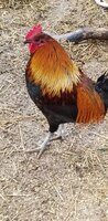 20200505_180835.jpg