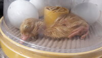 20200506_102401.jpg