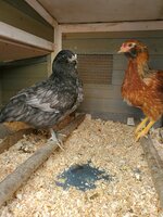 20200506_174606.jpg