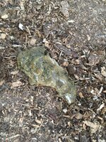 IMG_7302.JPG