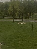 94729411-0D60-4401-B7A7-0C890A55444F.jpeg