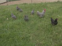 100_1707.JPG