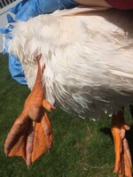 IMG_0456.JPG