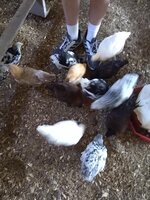 IMG_20200507_111055178.jpg