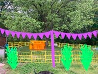 Duck_Yard_Front.jpg