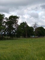 IMG_20200508_093400509.jpg