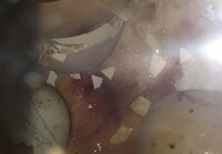 FA876FD0-E1A7-4EF2-A3DD-E5D66EAE031D.jpeg