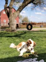 20200506_172322.jpg