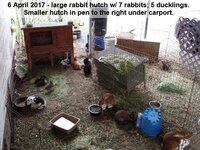 20170406_155727.jpg