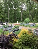 Front Yard Garden 2.jpg