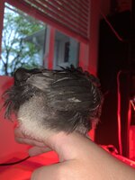 0680795E-F6AC-49FE-B8F1-83DD38309B73.jpeg