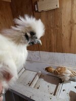 20200508_205739.jpg