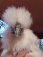 20200508_205835.jpg