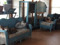 20200427_140410.jpg