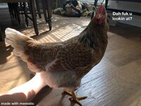 12F6604B-9FD4-4DB9-8E06-E467D91B805C.jpeg