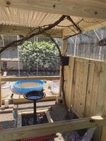 C8D31250-1A1B-4D73-8FF2-C87D8D414835.jpeg