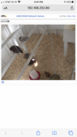 8CB9D9AF-32BF-44A4-A423-3B4D6D8B3278.png