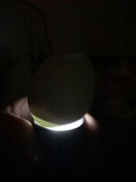 2B0A1C1F-720E-40E9-9D08-00EC1866EFC4.jpeg