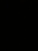 7A37D884-6266-440C-A713-FDFB55408CF7.jpeg