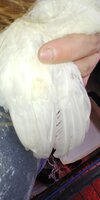 0510201237c.jpg
