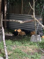 IMG_3701.jpg