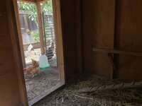 inside coop.jpg