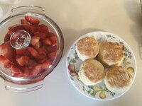 0C970C01-2D3B-4E7A-9919-6EFCEFD09B83.jpeg