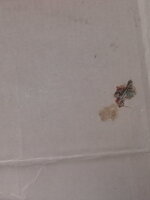 20200511_080320.jpg