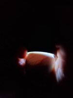 20200511_111138.jpg