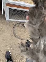 87A829AA-23ED-4E06-9628-618F083715EE.jpeg