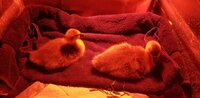 20200508_220546.jpg