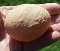 stress egg 2.jpg