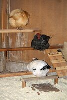 em roost help.jpg