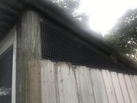 285205B0-A708-4323-B840-B73BF2C56528.jpeg