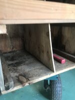 IMG_3944.jpeg
