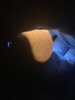 0997AD18-C810-495D-AEC0-5FCFE0F41F50.jpeg