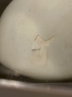 49D28ADC-2BD3-44CC-B654-718EB39612D2.jpeg