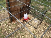 Chicken Coop 2020 4.jpg