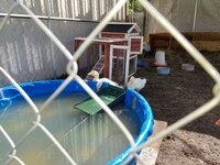 20200514_101404.jpg