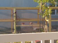 IMG_20200514_181547886.jpg