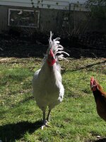 18616533-7F3B-4FB7-8892-9EDD2ED5B492.jpeg