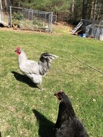 E2609816-EEA9-4A64-80FE-490631CE0001.jpeg
