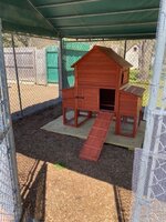 IMG_2274.jpg