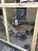 IMG_4807.jpg