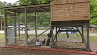 IMG_20200514_151941.jpg