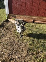 DE0F3473-170B-464B-8258-957F3FED761C.jpeg