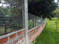 IMG_20200516_083657.jpg